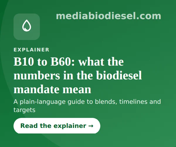 Explainer: what B10 to B60 mean in Indonesia’s biodiesel mandate